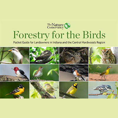 Forestry for the Birds cover image.
