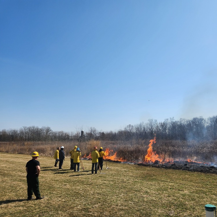 Image of group of people working on a prescribed fire.
