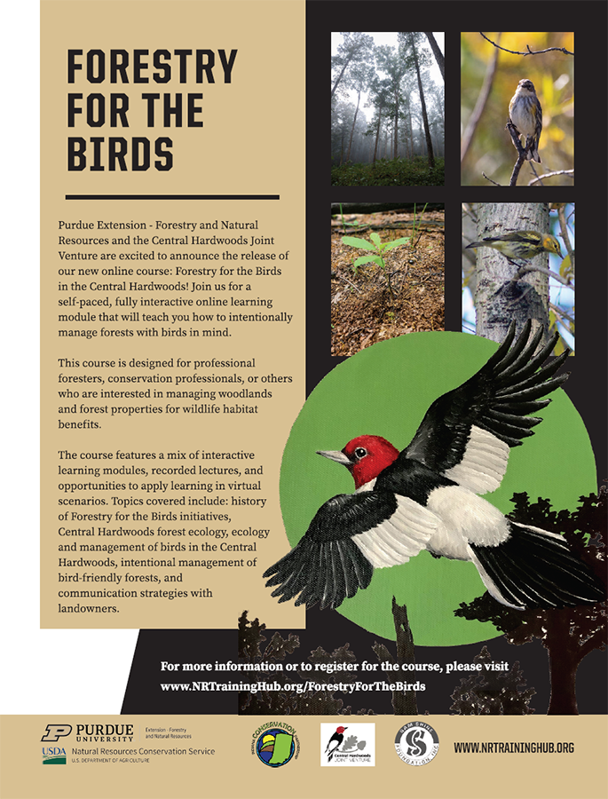 Forestry for the Birds course flyer.