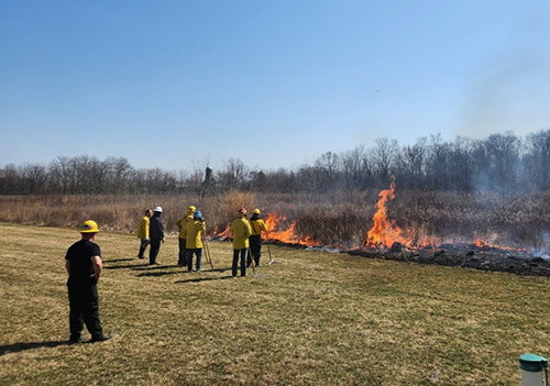 Prescribed fire workshop with staff helping with grassland fire.